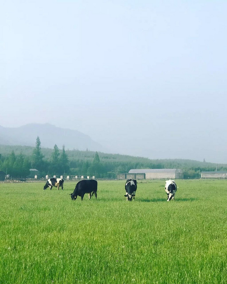 美景與趣味,這里都能給你!義遠(yuǎn)有機(jī)農(nóng)莊2天露營(yíng)攻略