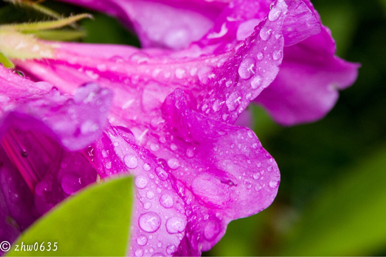 雨后重生-19摄区-杭州19楼