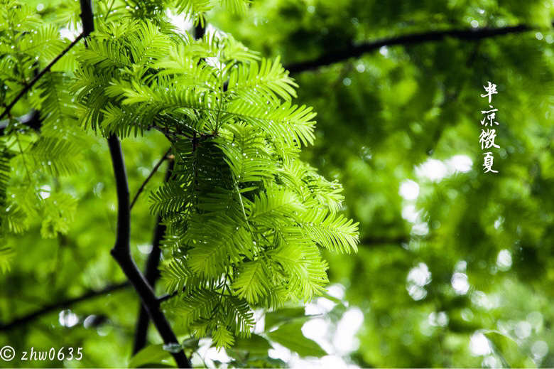 雨后重生-19摄区-杭州19楼