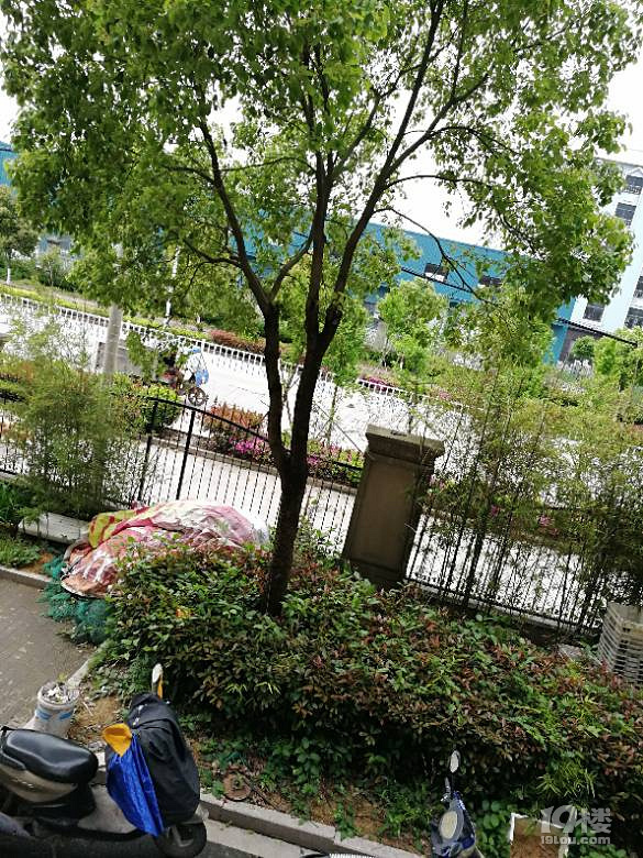 松门镇版本上演高育良用权利交换的建筑,周围