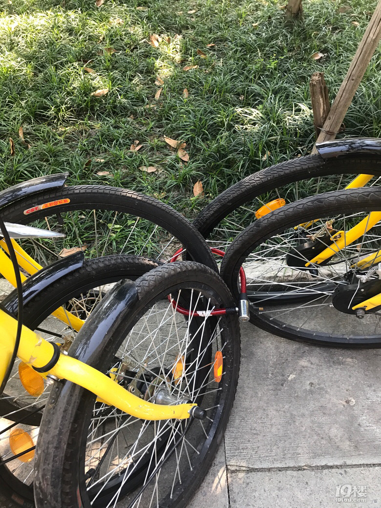 共享单车变私享,这五位小伙伴真团结-我要爆料