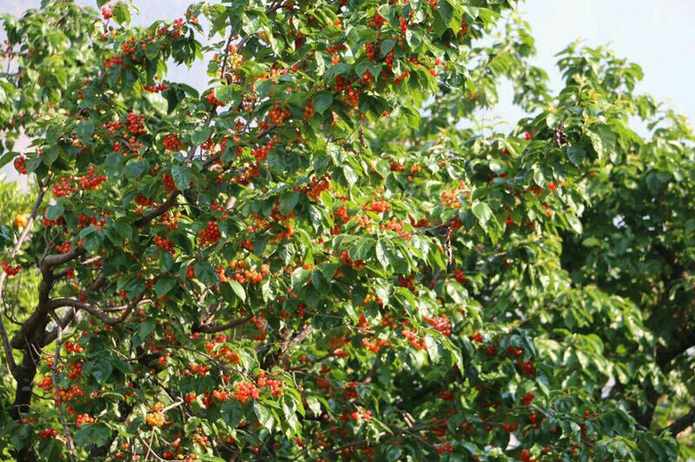 俗人俗语_重庆单身男女__杭州19楼