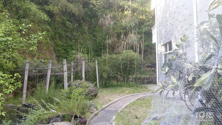安樂(lè)窩