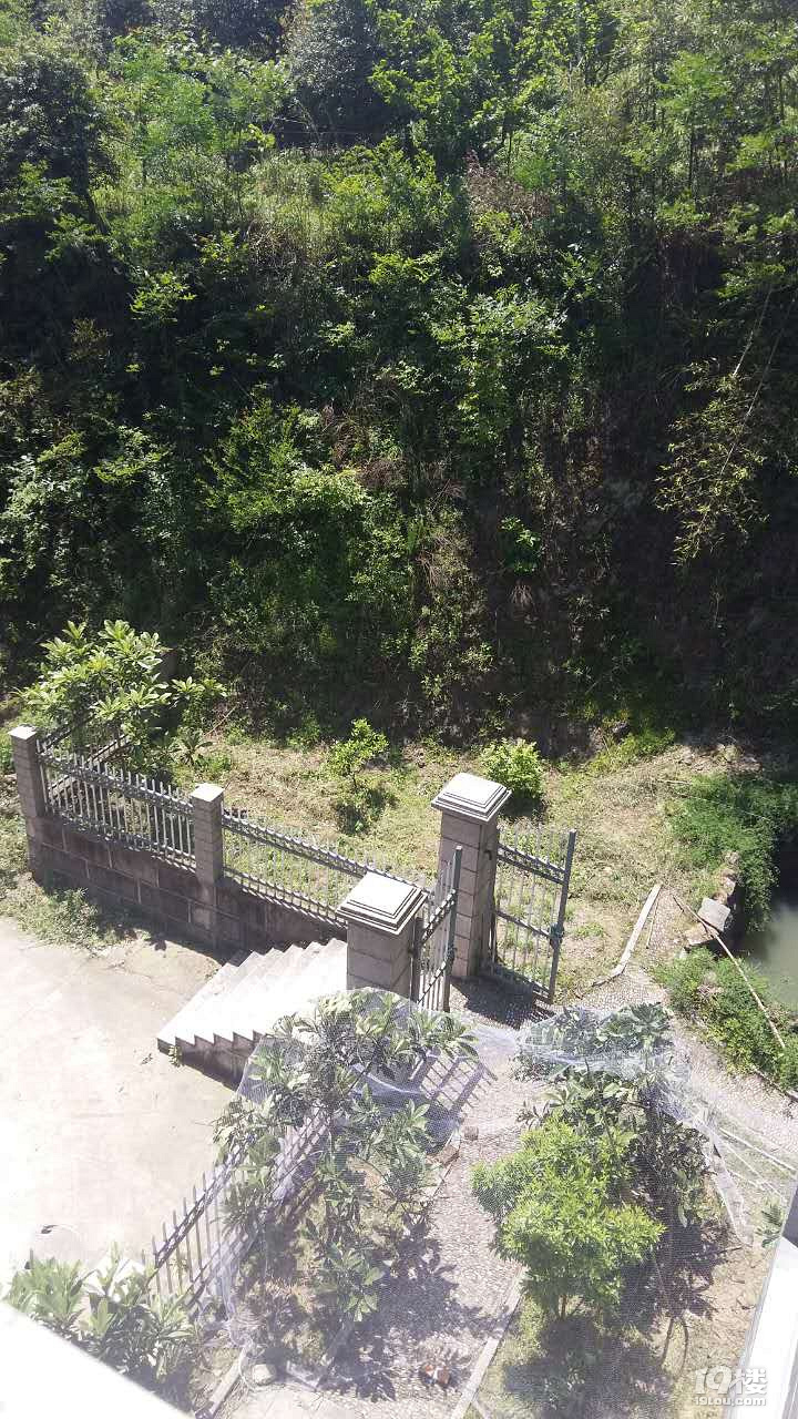 安樂(lè)窩