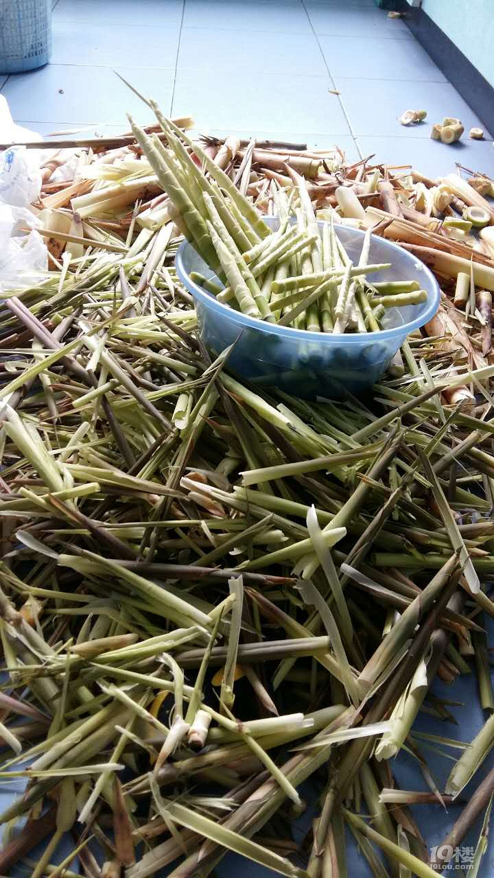 安樂(lè)窩