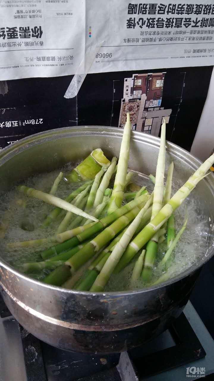 安樂(lè)窩