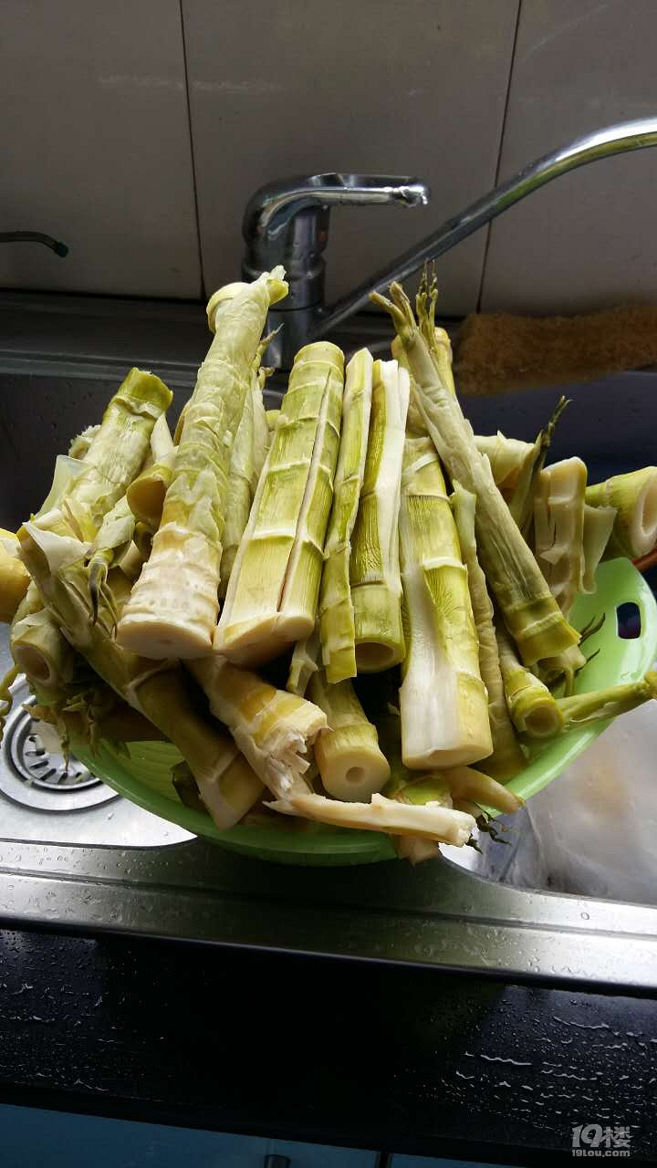 安樂(lè)窩