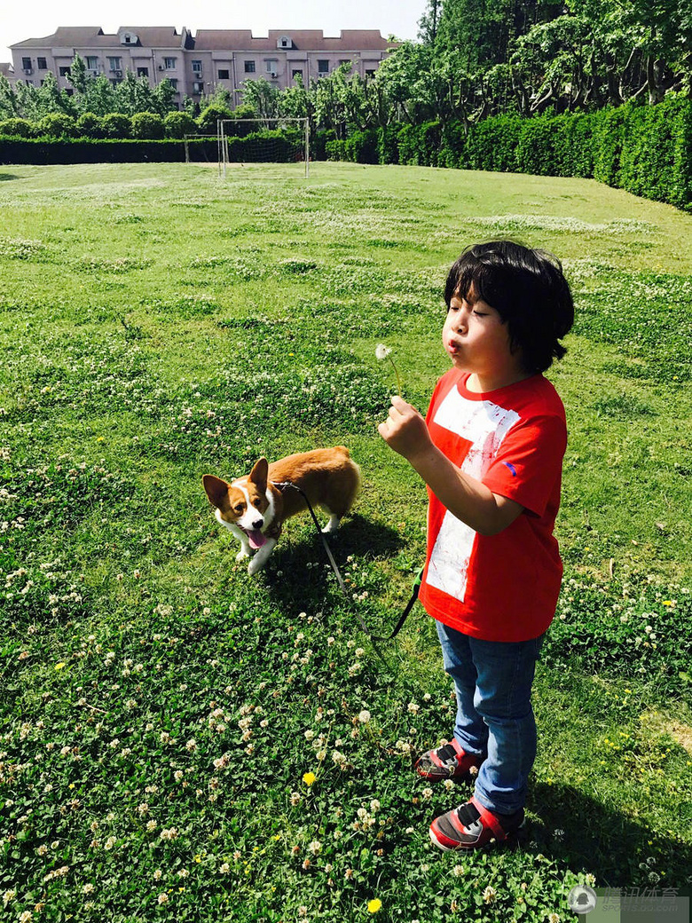 组图:劳动节轩哥皓弟放风筝 吹蒲公英一脸萌