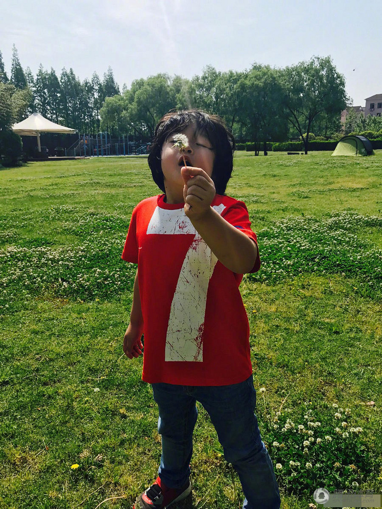 组图:劳动节轩哥皓弟放风筝 吹蒲公英一脸萌