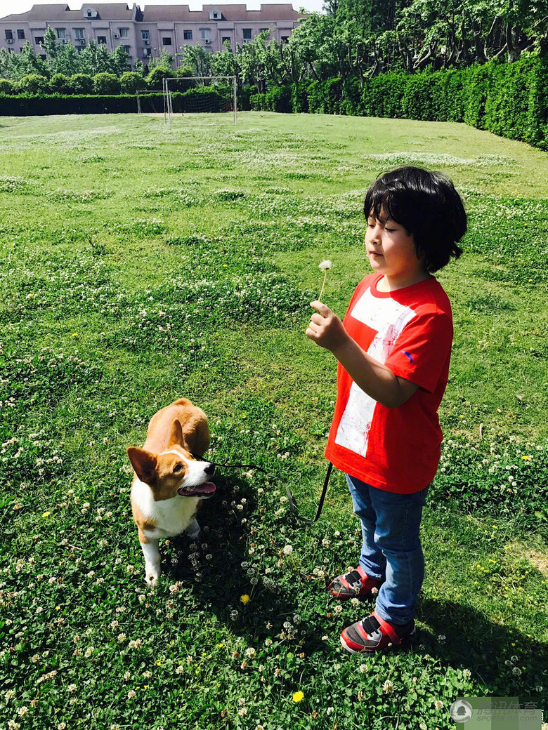 组图:劳动节轩哥皓弟放风筝 吹蒲公英一脸萌