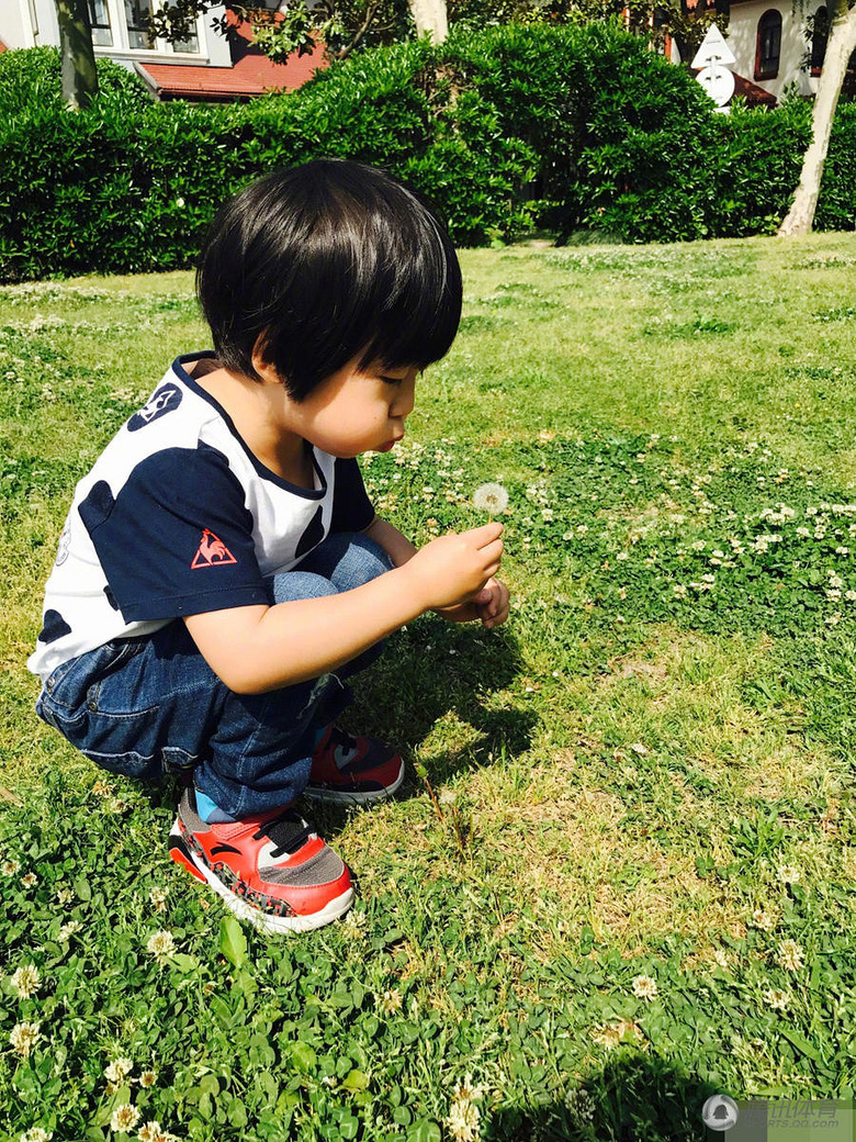 组图:劳动节轩哥皓弟放风筝 吹蒲公英一脸萌