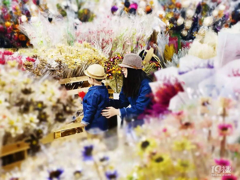 宋Ȍ&һN_ʽ
