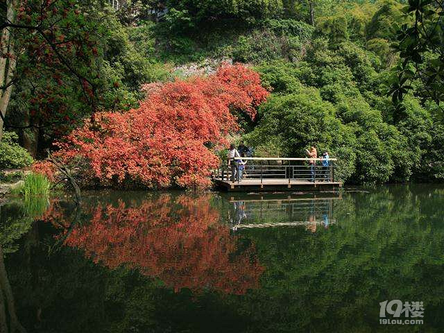 银铃池旅游攻略 雕梁画栋,飞阁流丹