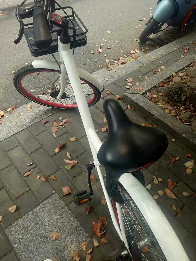 中毒已深的小白车-哈喽bike_随手拍大广场__杭