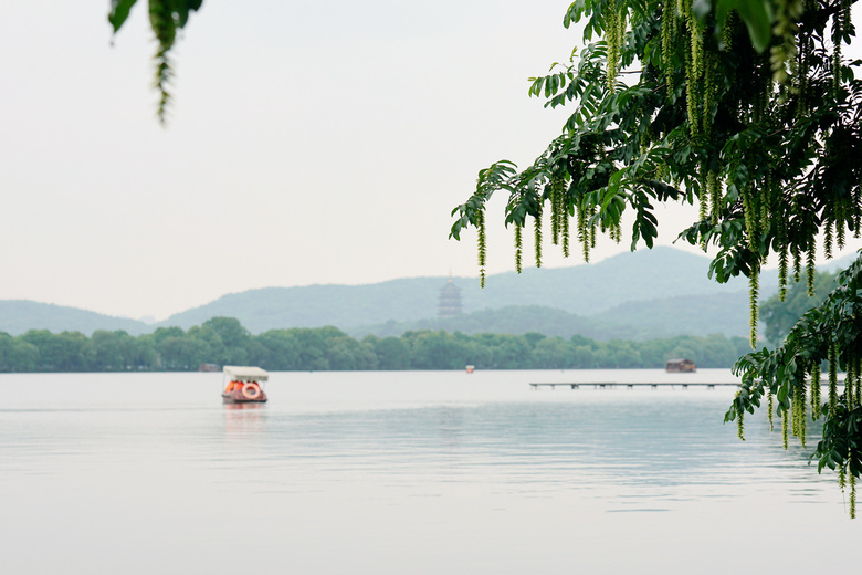 东坡堤下水如天,满架蔷盛一院香.