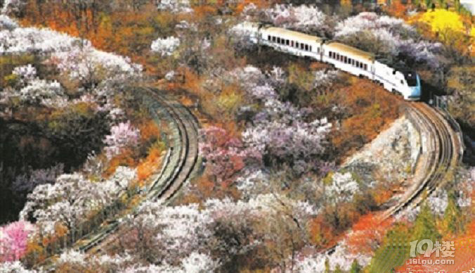 花海专线--开往春天的列车