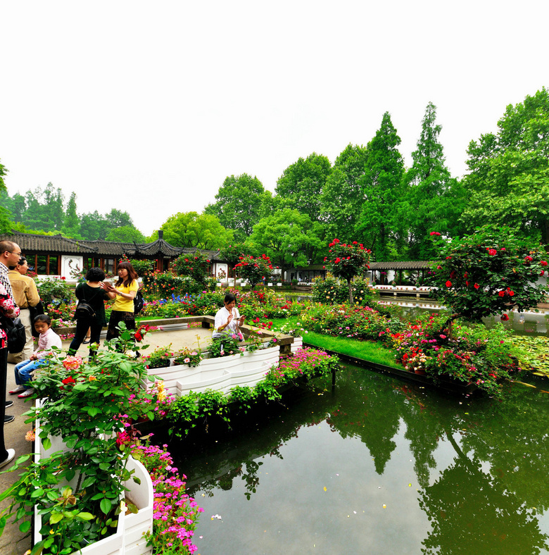 杭州之我色36——郭庄月季花展1