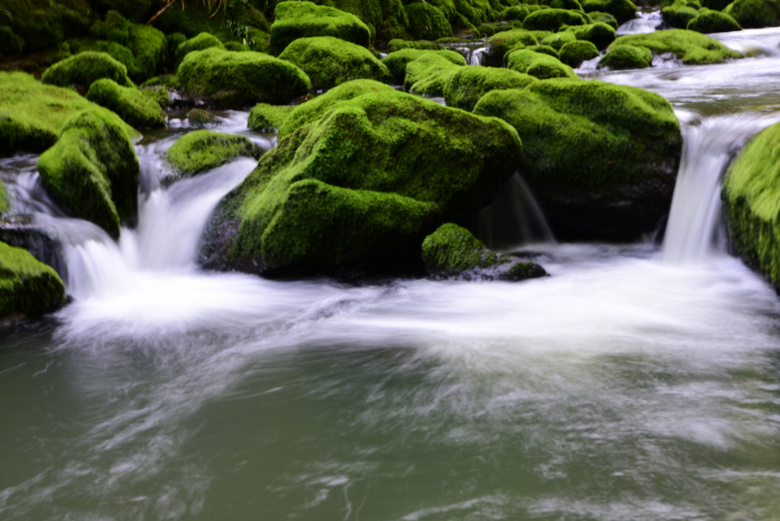 青苔石,清幽的美