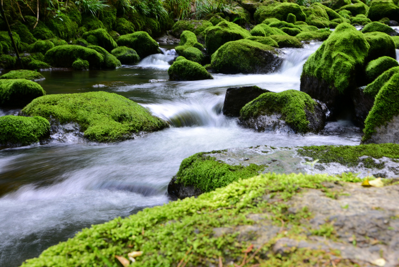 青苔石,清幽的美