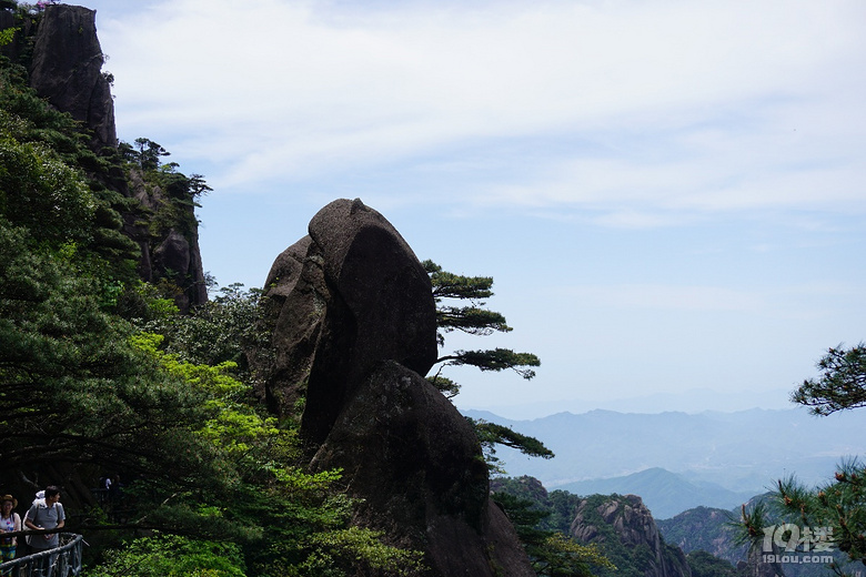 【嗨游5月】 三清山一日游:杜鹃花开,可缓缓去
