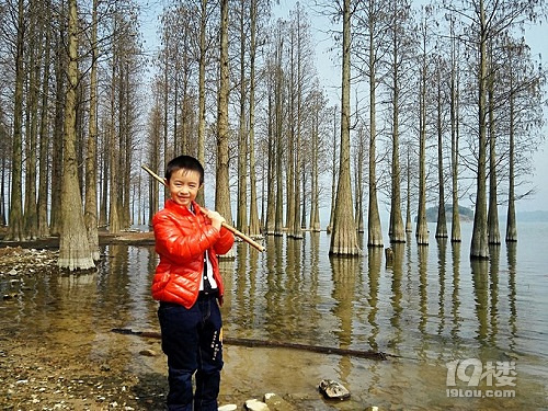 【楊梅熟了】周日賞四明湖水杉美景，嘗余姚精品黑炭楊梅