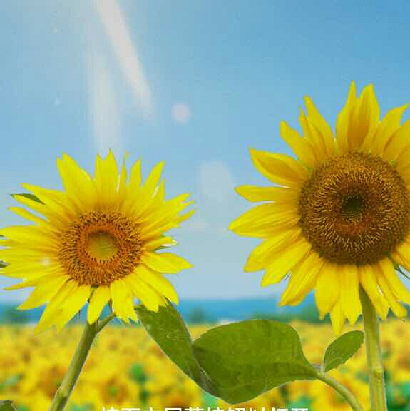 ?今天有雨,没有阳光,没有关系!其