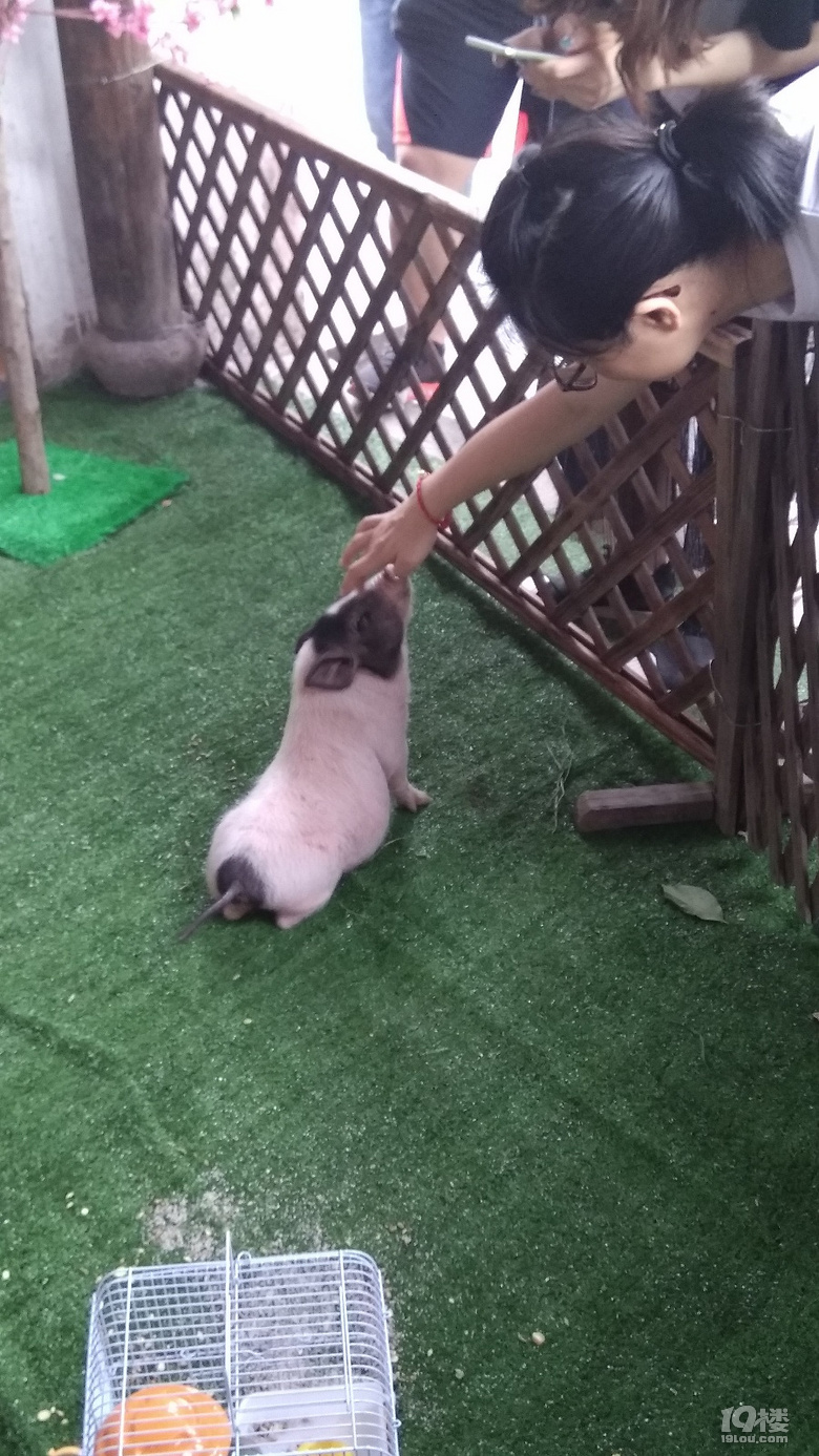 D|ˇ|Fˤ|С(lin)-϶Ҋ