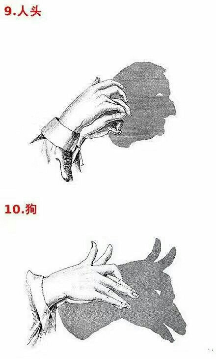 手影共享——人与狗