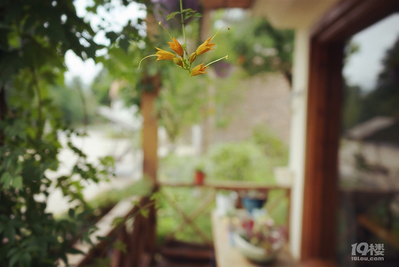 【我們正青春】小小花迷你花的莊園夢