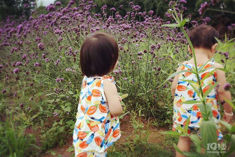 【我們正青春】小小花迷你花的莊園夢