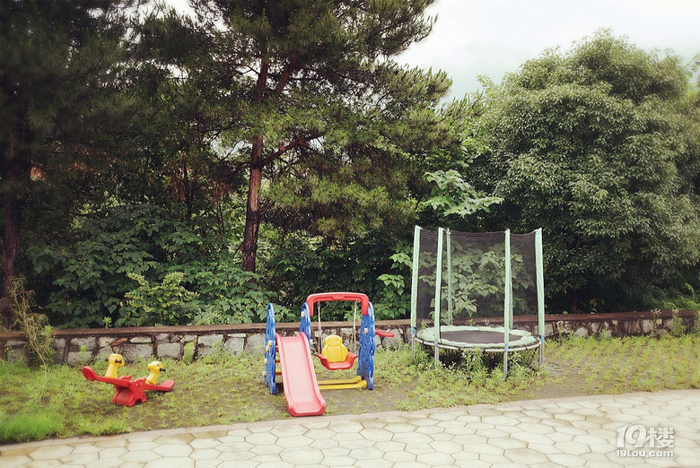 【我們正青春】小小花迷你花的莊園夢