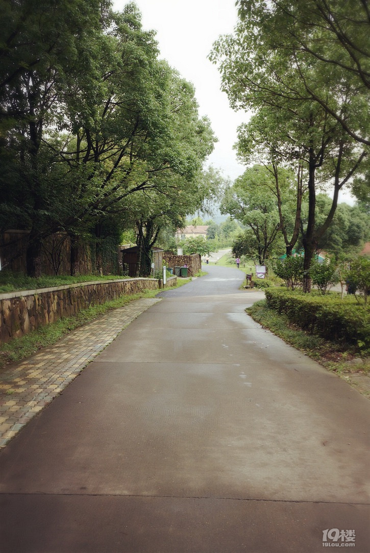 【我們正青春】小小花迷你花的莊園夢