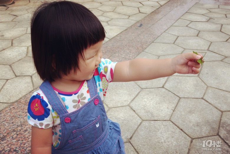 【我們正青春】小小花迷你花的莊園夢