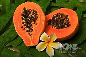 孕妇能吃木瓜吗 记住一定不能吃
