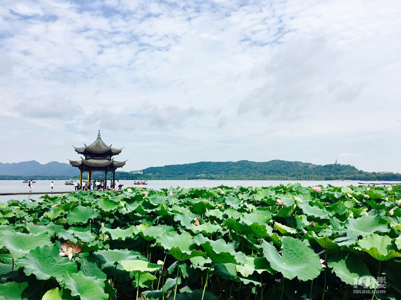 大西湖美景-大杭州旅遊-杭州19樓