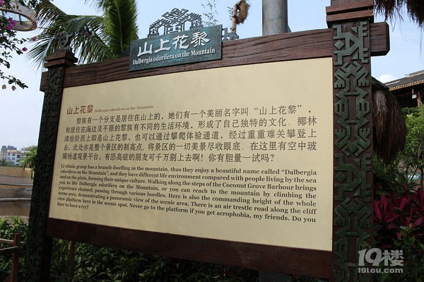 感恩再到美丽三亚,我与你再相遇
