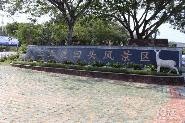 感恩再到美丽三亚,我与你再相遇