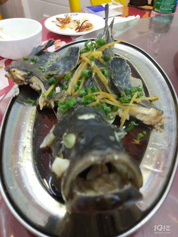 感恩再到美丽三亚,我与你再相遇
