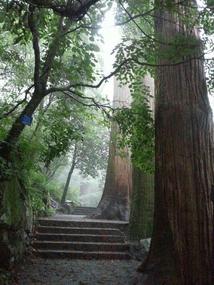 清凉世界临安西天目忆景农家