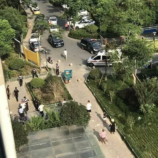 一天两场悲剧!杭州两名6岁儿童家中坠楼身