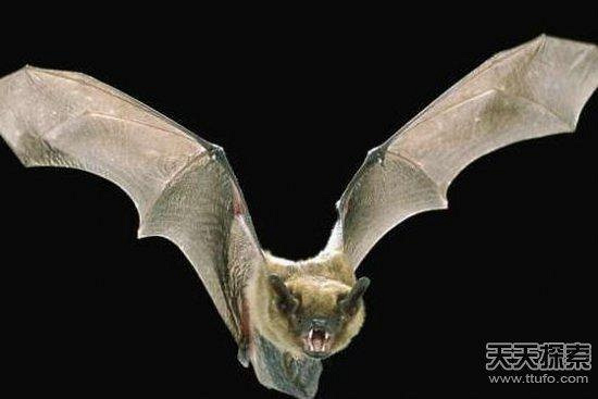 中国民间传说中的十大惊人秘术破解 不看后悔