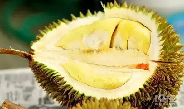 坐月子可以吃什么水果?坐月子期間的水果食譜