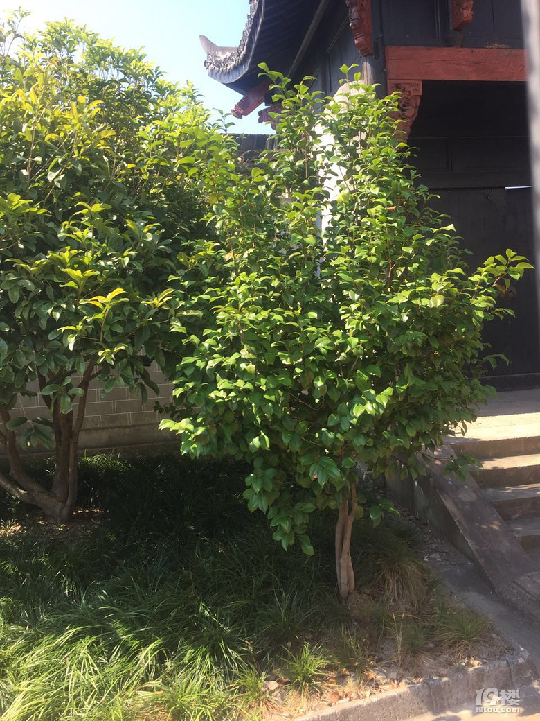 横店明清民居,40多度的周六,我竟然看到有人在工作!