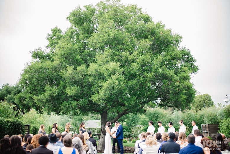 你会给这场烤串味儿的简约婚礼打几分?