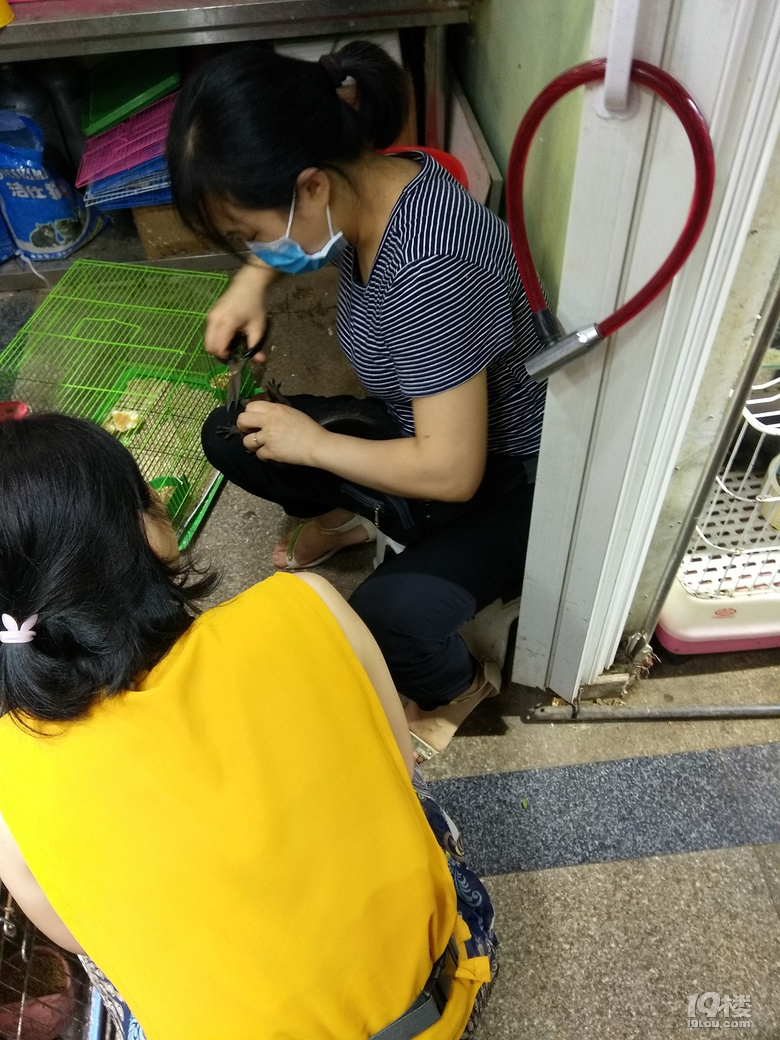 ◆二三年级作文怎么教？晒晒低年级的作文！