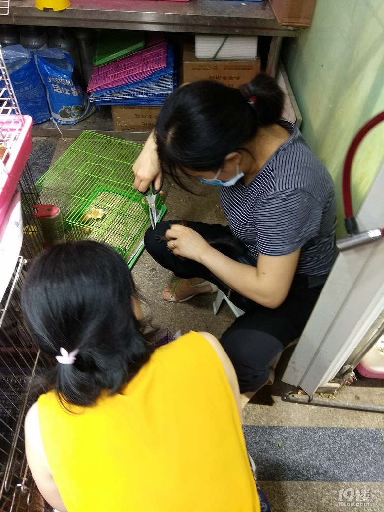 ◆二三年级作文怎么教？晒晒低年级的作文！