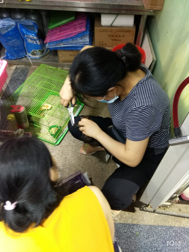 ◆二三年级作文怎么教？晒晒低年级的作文！