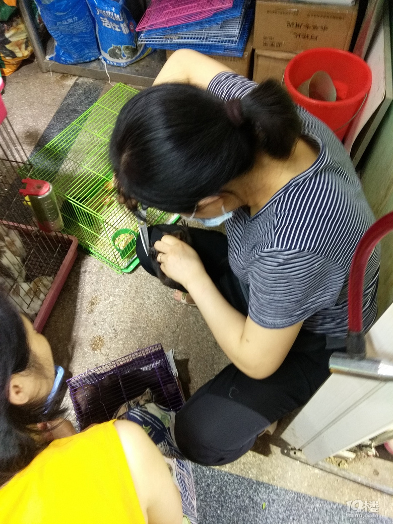 ◆二三年级作文怎么教？晒晒低年级的作文！