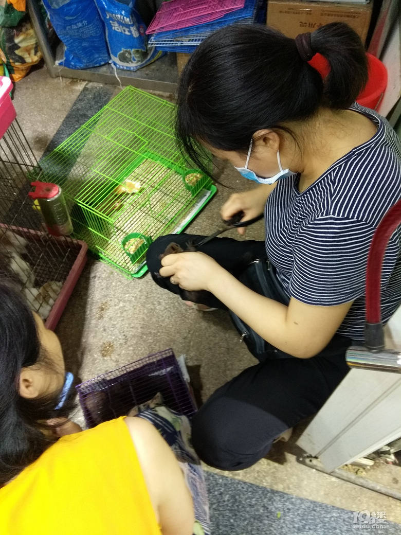 ◆二三年级作文怎么教？晒晒低年级的作文！