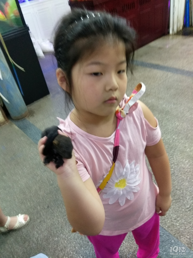 ◆二三年级作文怎么教？晒晒低年级的作文！